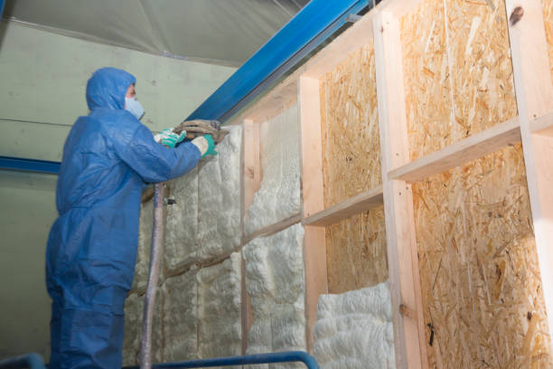 Best Insulation Inspection Services  in Rochester, IN